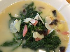 上汤桑叶芽-新疆伏拉沃餐厅(白龙南路店)