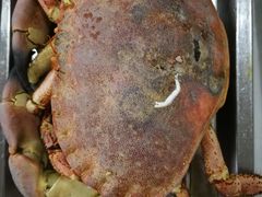 -渔民船说·北塘海鲜·天津菜·海肠捞饭(北塘古镇店)