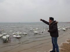 -烟墩角天鹅湖