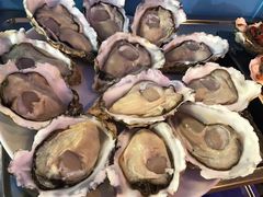 -千岛蚝高压锅生蚝·人参火锅(白云万达店)