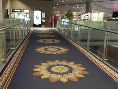 -虹桥机场国航贵宾室v8