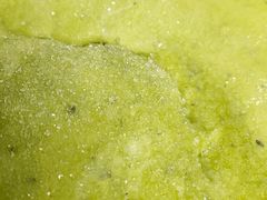 -世纪联华超市(浦电路店)