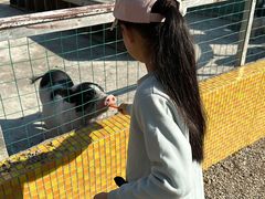 -前小桔亲子创意农场·草莓采摘·露营烧烤