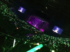 -南京奥林匹克体育中心-体育馆