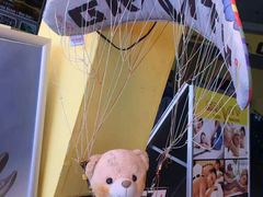 -费特希耶滑翔伞