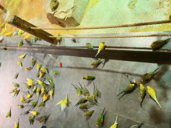 -酷嗒动物文化乐园(cutezoo西溪乐天城店)