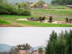-良渚古城遗址公园