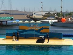 -秦皇岛乐岛海洋王国