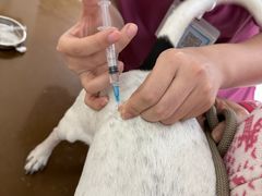 -美联众合动物医院·24h京西诊疗中心