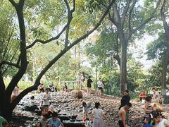 -成都市活水公园