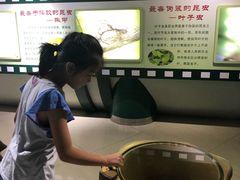 -上海昆虫博物馆