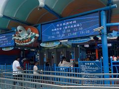 -海合安青岛极地海洋公园