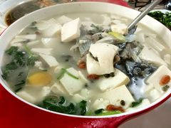 -煲来饱去冷水鱼