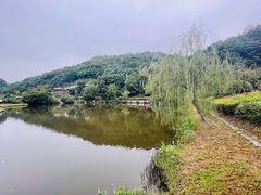 -桃花岭景区