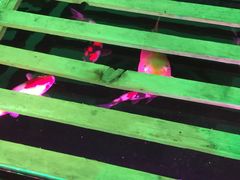 -郭家大院(新源店)