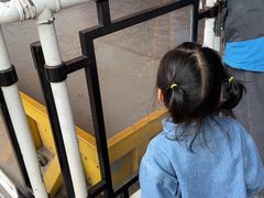 -江南环球港