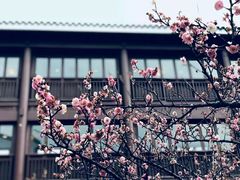 -苏州吴宫泛太平洋酒店