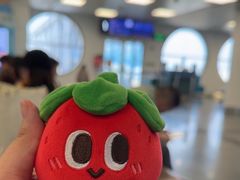 -厦门高崎国际机场-T3航站楼