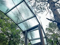 -龙井峡漂流
