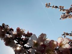 -崂山九水游览区