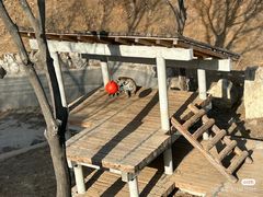 -石家庄市动物园