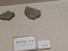 -辽宁古生物博物馆