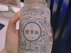 -野萃山·潮汕厚果汁(十亩地店)