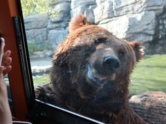 -北京野生动物园