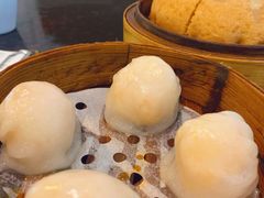 -添运来(茶园奥园广场店)