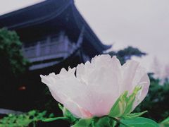 -龙华寺