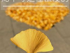 -龙华寺