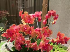 -王府茶楼茶宴·创意菜(朝阳公园店)