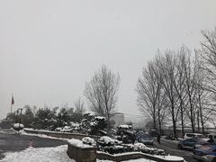 -洛阳古墓博物馆