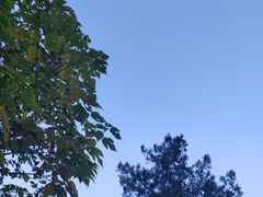 -香山公园