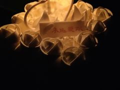 天使之爱-BLACKSWAN黑天鹅(环球店)