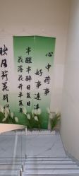 -序言科技美肤中心