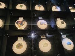 -陕西自然博物馆