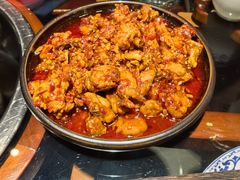 -志晖园圆子鸡·辣子鸡(阳光店)