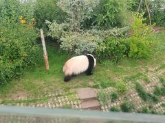 -青藏高原野生动物园