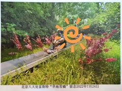 -八大处公园