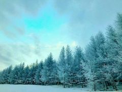 -多乐美地滑雪场