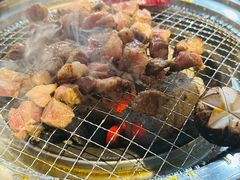 -四斤烤肉(东戴河孟家店)