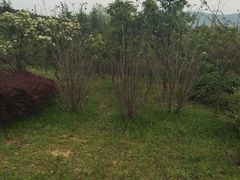 -冶父山国家森林公园