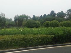 -洨河生态公园