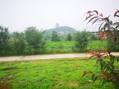 -永定河休闲森林公园