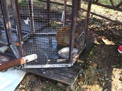 -武汉紫薇都市田园