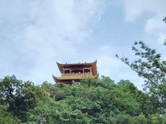 -大屏嶂森林公园