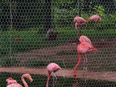 -石家庄市动物园