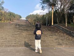 -三峡梯城
