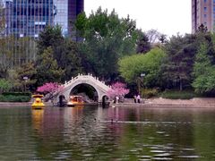 -团结湖公园